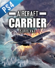 Aircraft Carrier Survival