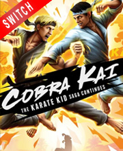 Cobra Kai The Karate Kid Saga Continues