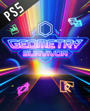 Geometry Survivor