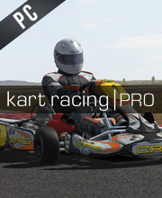 Kart Racing Pro