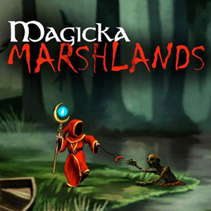 Buy Magicka Caverns and Magicka Marshlands CD Key Compare Prices