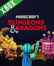 Minecraft Dungeons & Dragons