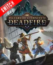 Pillars of eternity on sale switch sale