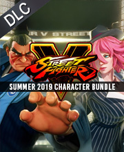 Street Fighter V Summer 2019 Character Bundle