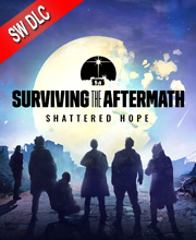 Surviving the Aftermath Shattered Hope