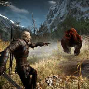 The Witcher 3 Wild Hunt - Enemy