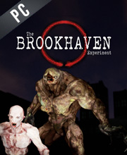 The Brookhaven Experiment on Steam