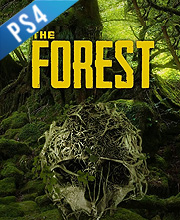 the forest amazon ps4