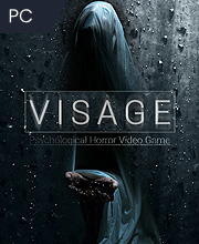 Visage