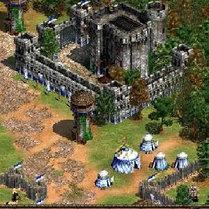 Age of Empires 2 HD Castle