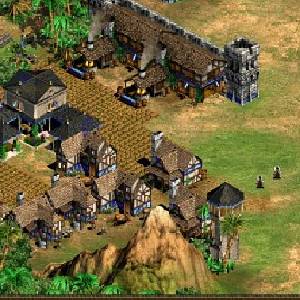 Age of Empires 2 HD Farm