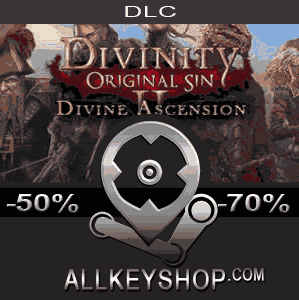 Divinity original sin 2 divine ascension что это