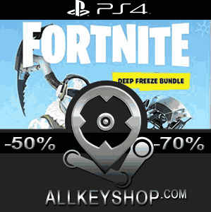 Buy Fortnite Deep Freeze Bundle PS4 Compare Prices