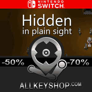 hidden in plain sight nintendo switch