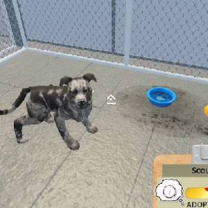 Animal Shelter Simulator - Scout