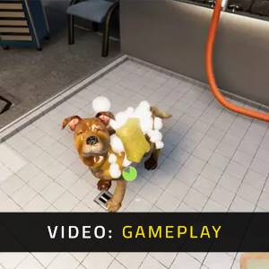 Animal Shelter Simulator - Gameplay Video