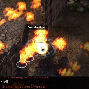 Baldur's Gate Enhanced Edition - Crusader Guard