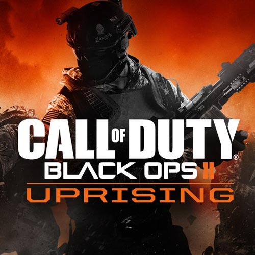 call of duty black ops 2 pc steam key
