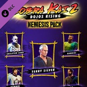 Cobra Kai 2: Dojos Rising PS4