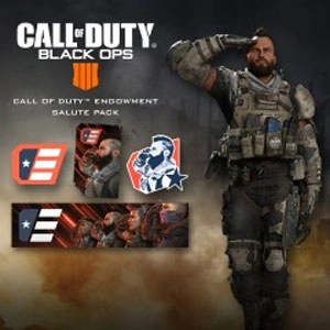 COD Black Ops 4 C.O.D.E. Salute Pack