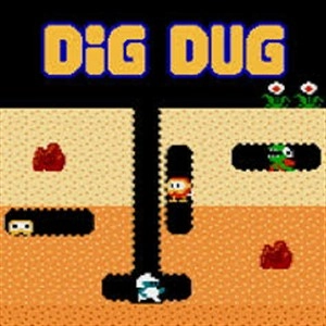 DIG DUG