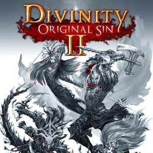 Divinity original sin 2 divine ascension что это