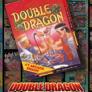 Buy DOUBLE DRAGON Nintendo Switch Compare Prices