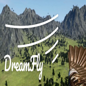 Buy DreamFly VR CD Key Compare Prices