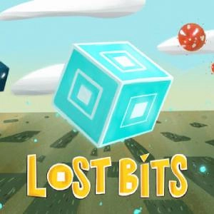 Lost Bits