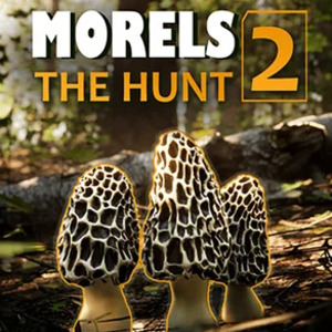 Morels The Hunt 2