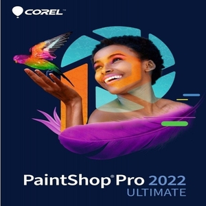 ultimate paint shop