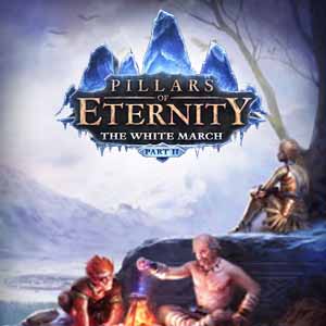 Buy Pillars of Eternity The White March Part Two CD Key Compare Prices