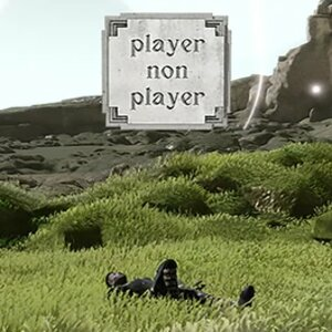 Player Non Player