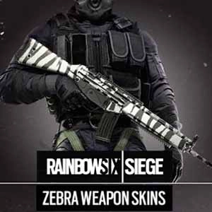 Rainbow Six Siege Zebra Weapon Skin