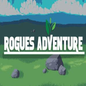 Rogues Adventure