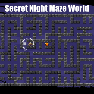 Buy Secret Night Maze World CD KEY Compare Prices