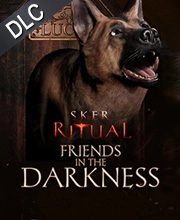 Sker Ritual Friends in the Darkness