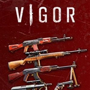 VIGOR ARMORY PACK