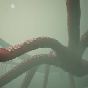 Chasing the Unseen - Octopus