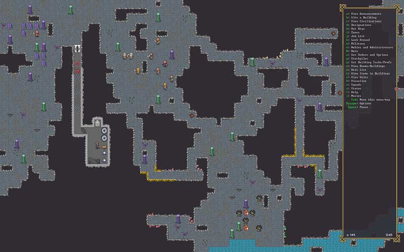 dwarf fortress trading cant see worth
