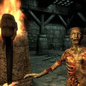 Elder Scrolls 4 Oblivion - Dread Zombie