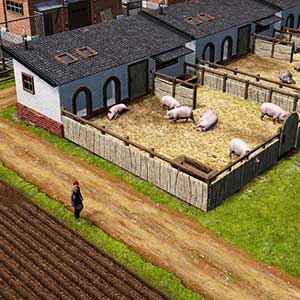 Farm Manager 2021 - Piggery