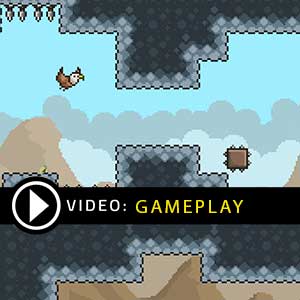 Gravity Duck Gameplay Video