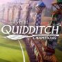 Preorder Harry Potter Quidditch Champions for Firebolt Supreme Broom Skin