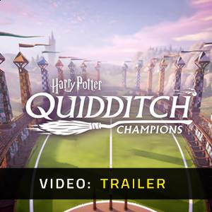 Harry Potter Quidditch Champions