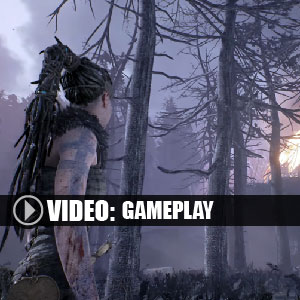 Hellblade Senua's Sacrifice - Gameplay Video