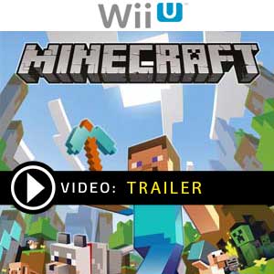 minecraft game for wii