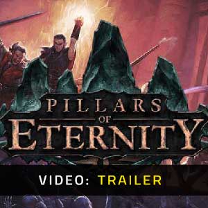 pillars of eternity hero edition vs champion edition