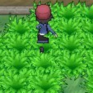 Pokemon Y Nintendo 3DS Characters