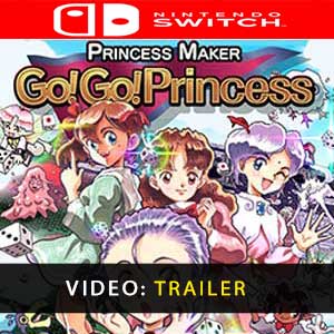 switch princess maker